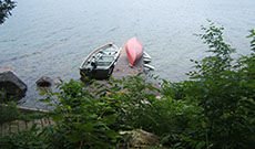 View of the cottage from the lake